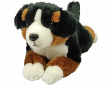 Dubi Bernský salašnický pes 40 cm 11653