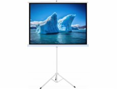 Art Projekční plátno HAND-HAND NA STATIVU 110 palců 244x137 cm TA-110 16:9