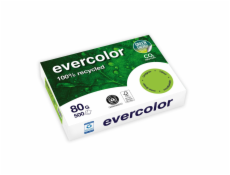 Clairefontaine EverColor grün Recyclingpapier A 4 80 g 500 Bl.