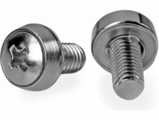 StarTech M6 x 12mm sada šroubů/podložek - 100 sad Stříbrná (CABSCREWSM62)