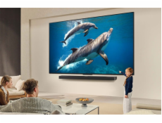 Televize 55QNED84A3C