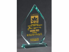 Victoria Sport Skleněná trofej s rytím a pouzdrem + výplň barvou