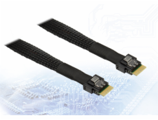 Intel Inter-Tech kabel SFF 8654-4i -> SFF 8654-4i- 0,7m