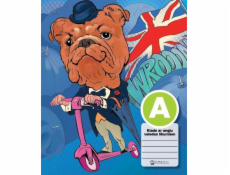 DISCO Anglický pracovní sešit se vzorci B5, 38 stran