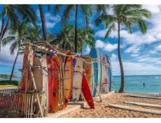 Trefl Puzzle 1000 dílků Waikiki Beach Havaj