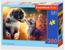 Castor Puzzle 260 dílků Kočička, pes nové přátelství