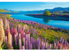 Castor 500dílné puzzle jezero Tekapo Nový Zéland Castor 500dílné puzzle jezero Tekapo Nový Zéland