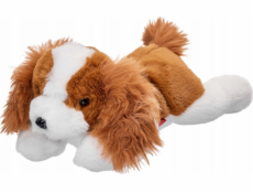 Beppe Maskot psa kavalírského plemene ležící 35 cm