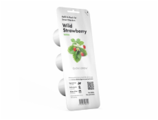 Click and Grow Plant Struky Strawberry 3-Pack SGR24X3