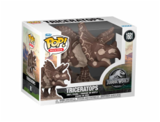 POP! Animace: Power (Chainsaw Man)