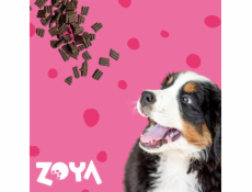 ZOYA ColdPRO Beef - suché krmivo pro psy - 1kg