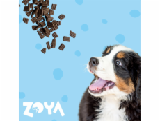 ZOYA ColdPRO Duck - suché krmivo pro psy - 1kg ZOYA ColdPRO Duck - suché krmivo pro psy - 1kg