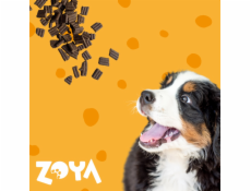 ZOYA ColdPRO Lamb - suché krmivo pro psy - 1kg