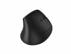 CANYON mouse MW-25 Ergonomic LED AA Dual mode Wireless Black
