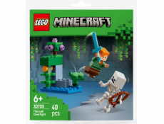 LEGO MINECRAFT 30705 Boj ve svěží jeskyni