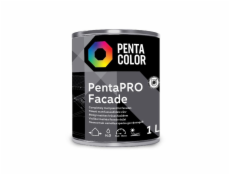 Barva Pentacolor Pentapro Facade, bílá, 1l