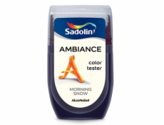 Tester barev Ambiance Morning Snow 30 ml