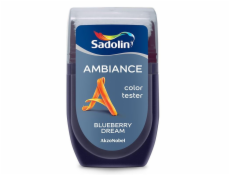 Tester barev Ambiance Blueberry Dream 30 ml