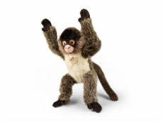 Rappa Plyšová opice chápan 30 cm ECO-FRIENDLY