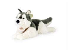 Rappa Plyšový pes husky s obojkem ležící 60 cm ECO-FRIENDLY
