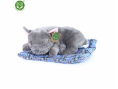 Rappa Plyšový pes francouzský buldoček ležící 23 cm ECO-FRIENDLY