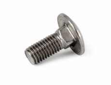 Šroub G21 vratový M10x25, DIN 603, nerez