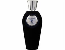 Tiziana Terenzi V Canto Magnificat EDP 100ml Tiziana Terenzi V Canto Magnificat EDP 100ml