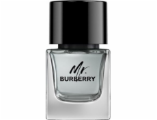 Burberry BURBERRY Mr. Burberry EDT sprej 50ml