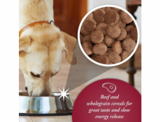 Glipa Arkwright Beef 15kg Glipa Arkwright Beef 15kg