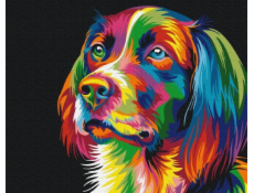 Symag Malování podle čísel - Pes v barvách