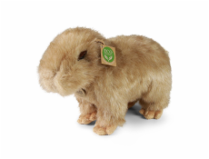 Rappa Plyšová kapybara 30 cm ECO-FRIENDLY Rappa Plyšová kapybara 30 cm ECO-FRIENDLY