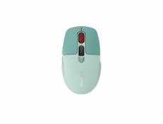 CANYON mouse MW-26 LCD Silent Dual Mode Wireless Green