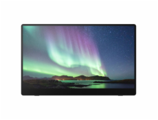 Ricoh 150BW Mobiler OLED-Monitor mit Touchscreen