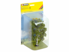 Noch Bříza dvoukmenná