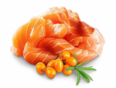 SHELMA Kitten with salmon in sauce - mokré krmivo pro kočky - 85g