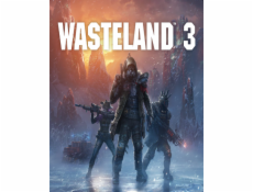 ESD Wasteland 3