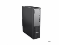 Lenovo Neo 55s G6, SFF, R5 220, Radeon 740M, 1x16GB, 1TB, W11P, 3R