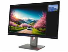 Lenovo ThinkVision/P32UD-40/31,5 /IPS/4K UHD/120Hz/4ms/Černá/3R