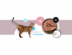 3COTY 24. Turkey and goose - mokré krmivo pro kočky - 180g