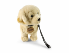 Rappa Plyšový pes zlatý retrívr stojící s vodítkem 25 cm ECO-FRIENDLY