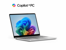 Microsoft Surface Laptop 13 /SD-X Plus/13 /1920x1280/T/16GB/256GB/Adreno/W11P/Platinum/2R