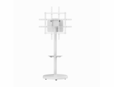 GEMBIRD TV FLOOR STAND 37  - 86 , WHITE
