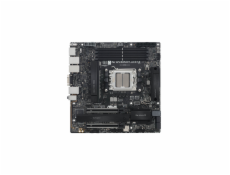 ASUS PRO WS B850M-ACE SE