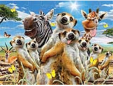 PRIME 3D PUZZLE - Selfie surikaty 48 dílků