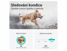 Tractive GPS DOG XL – sledování polohy a aktivity pro psy - zelený