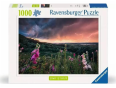 Ravensburger Polska Puzzle 1000 dílků Bouře se blíží