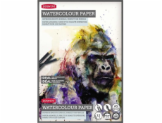 NoName Blok pro akvarel Derwent A5 300 g 12 listů.