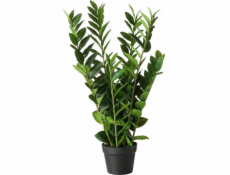 Boltze Umělý Zamioculcas v květináči, 76 cm