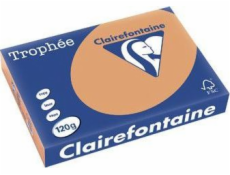 Trophee kopírovací papír A4 80g 500 listů