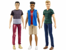 Mattel Panenka Barbie Fashionistas - Stylový Ken (DWK44)